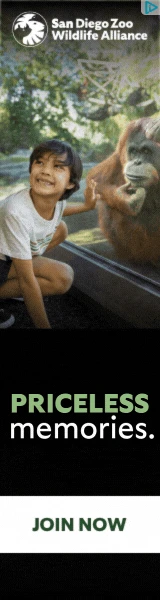 Creative Screenshot 3
