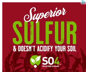 Creative Screenshot 3