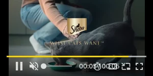 Creative Screenshot 3