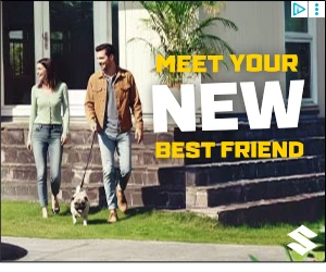 Creative Screenshot 2