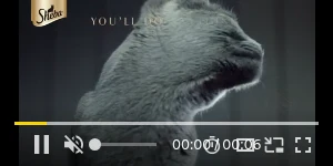 Creative Screenshot 1