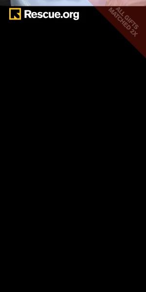 Creative Screenshot 2