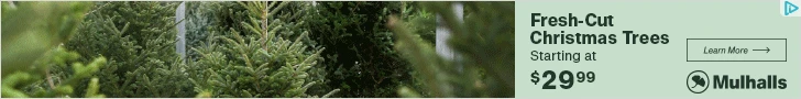 Creative Screenshot 3