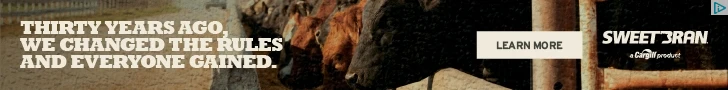 Creative Screenshot 1
