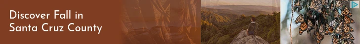 Creative Screenshot 2