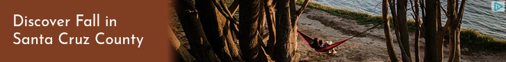 Creative Screenshot 3