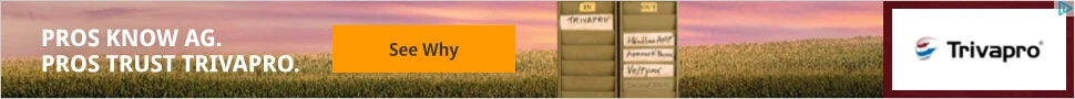 Creative Screenshot 2