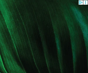 Creative Screenshot 2