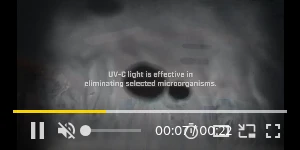Creative Screenshot 2