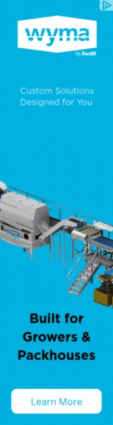 Creative Screenshot 1
