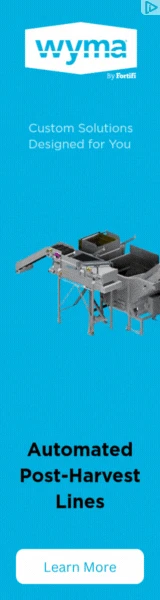 Creative Screenshot 3