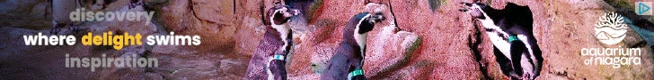 Creative Screenshot 1