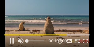 Creative Screenshot 3
