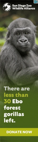 Creative Screenshot 1