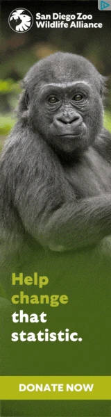 Creative Screenshot 2