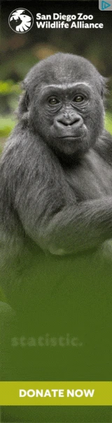 Creative Screenshot 3