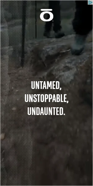 Creative Screenshot 1