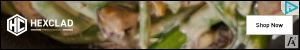Creative Screenshot 2