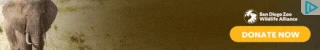 Creative Screenshot 3