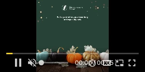 Creative Screenshot 1