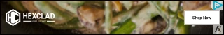 Creative Screenshot 2