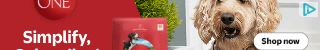 Creative Screenshot 1