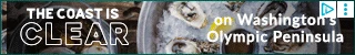 Creative Screenshot 2