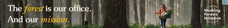 Creative Screenshot 1