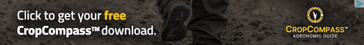 Creative Screenshot 3