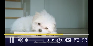 Creative Screenshot 3