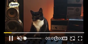 Creative Screenshot 1