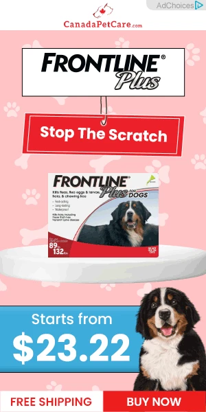 Creative Screenshot 1