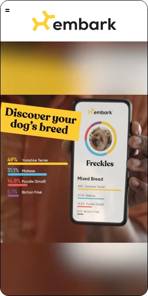 Creative Screenshot 3