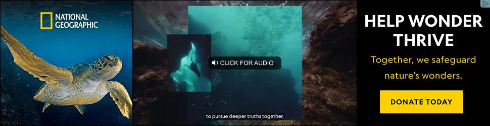 Creative Screenshot 2