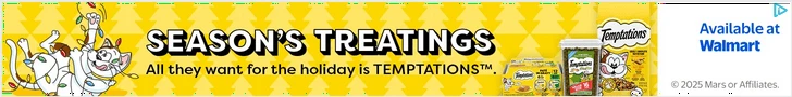 Creative Screenshot 1