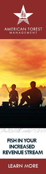 Creative Screenshot 1
