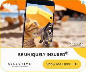 Creative Screenshot 3