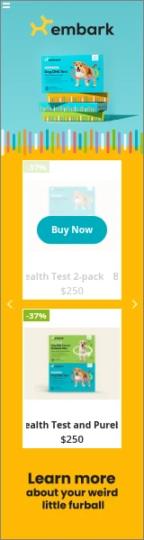 Creative Screenshot 1