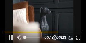 Creative Screenshot 3