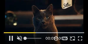 Creative Screenshot 2