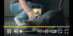 Creative Screenshot 3