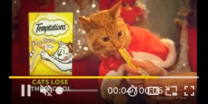 Creative Screenshot 3