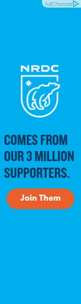 Creative Screenshot 3