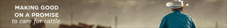 Creative Screenshot 3