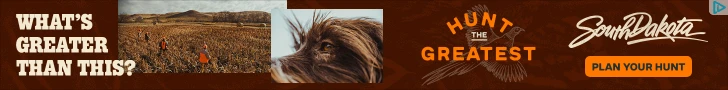Creative Screenshot 1