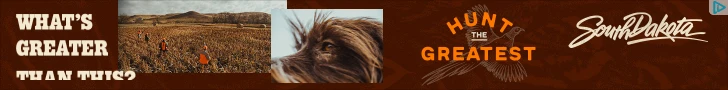 Creative Screenshot 2
