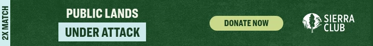 Creative Screenshot 1