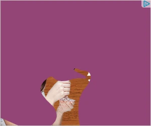 Creative Screenshot 2