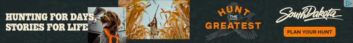 Creative Screenshot 1
