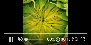 Creative Screenshot 1